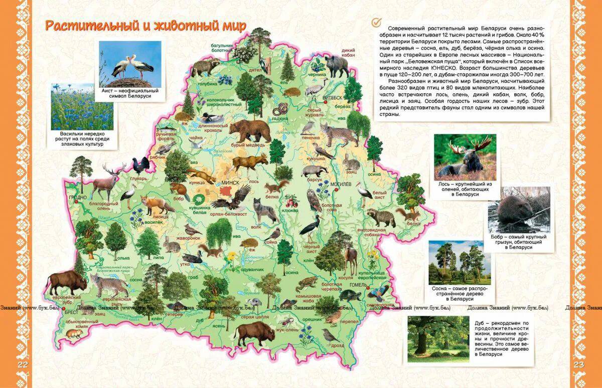 Карта беларуси для детей #34