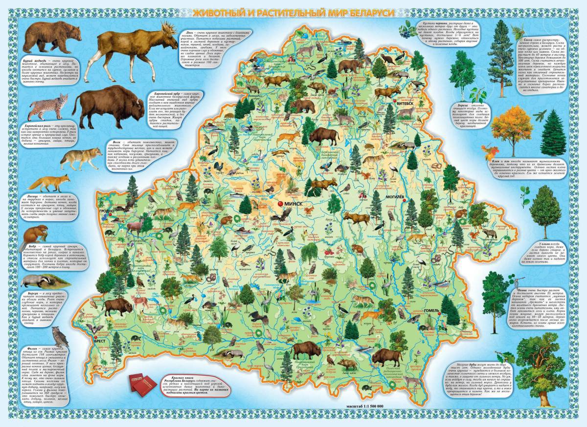 Карта беларуси для детей #37