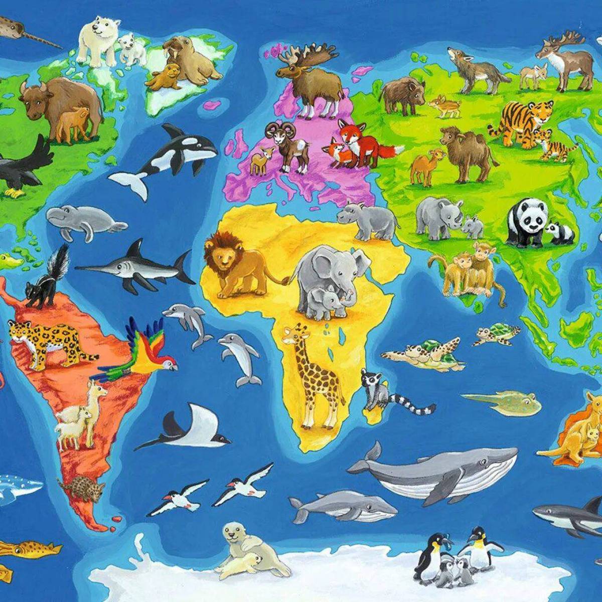Карта мира для детей #11