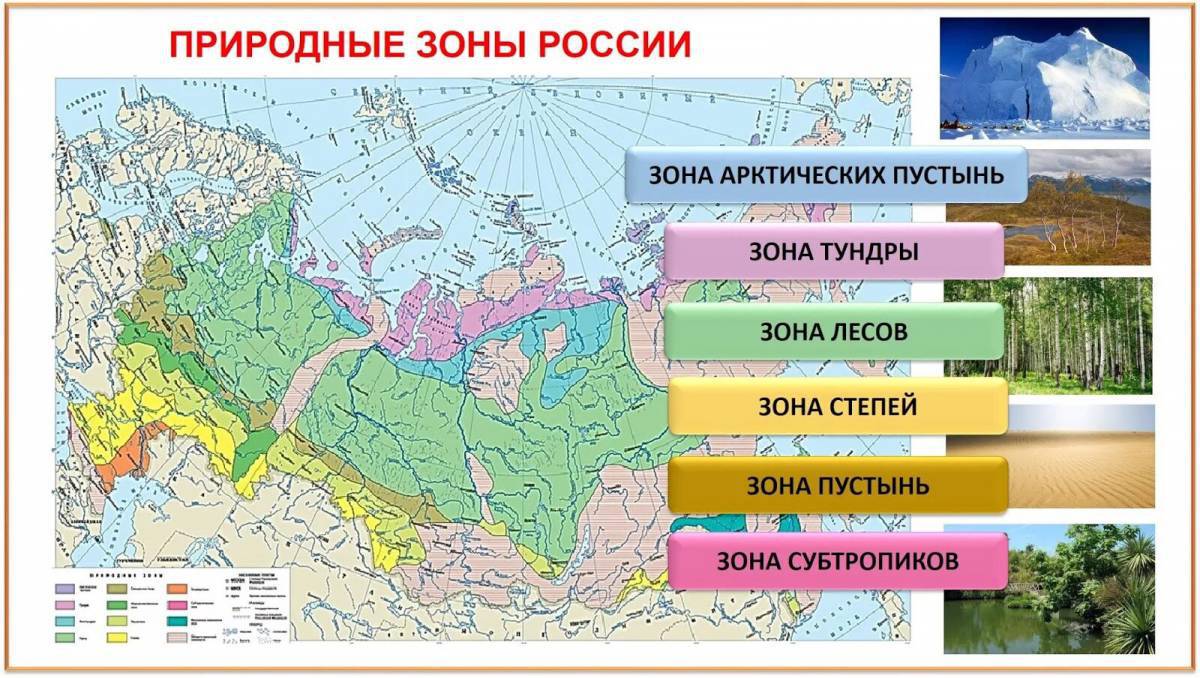 Картинки Карта природных зон россии (39 шт.) - #7858