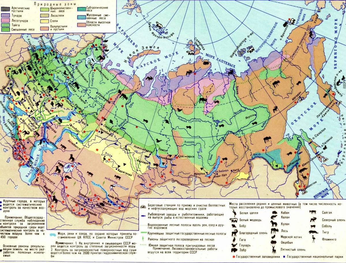 Географическая карта с зонами россии природными