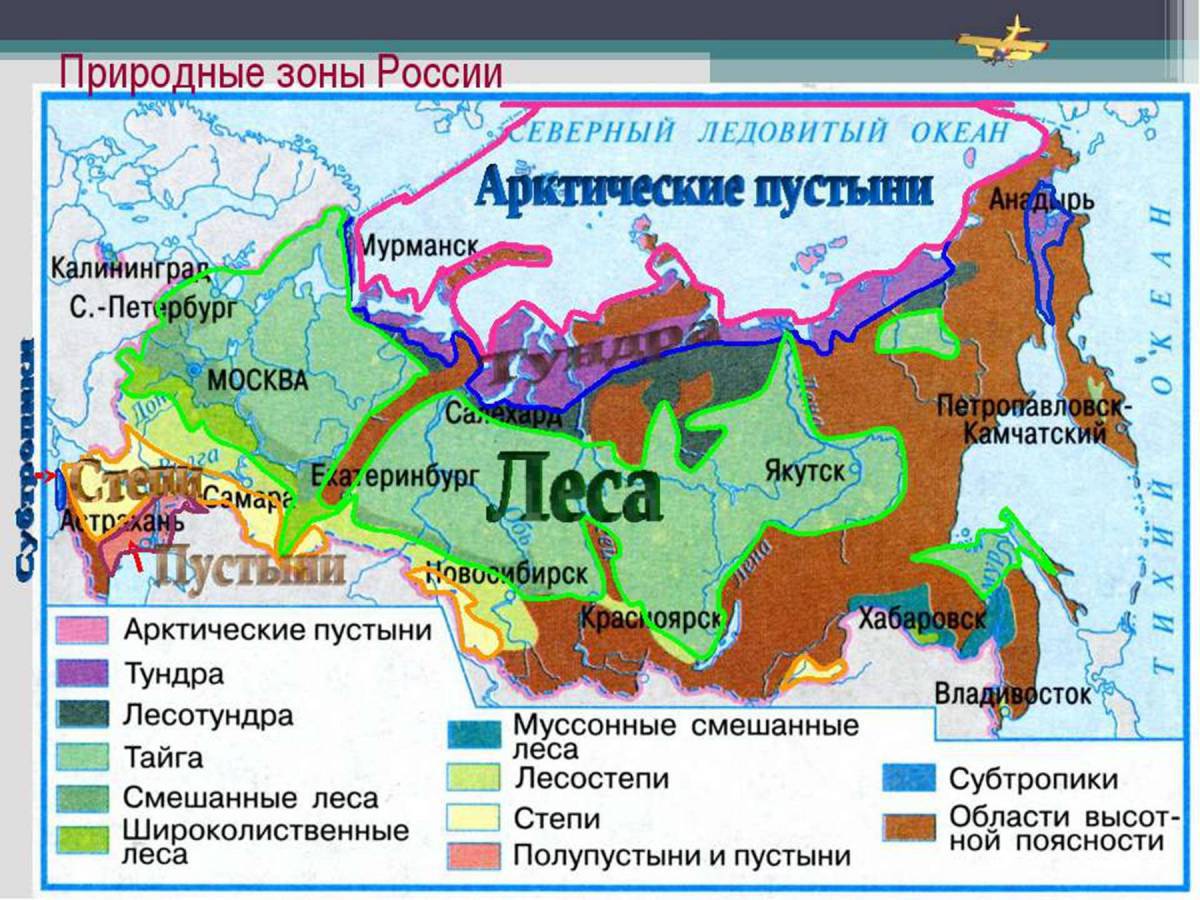 Карта природных зон россии #25