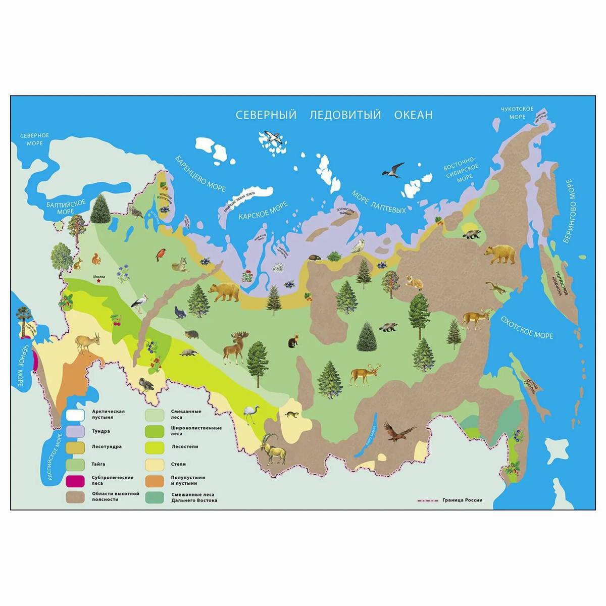 Карта природных зон россии 4 класс #8