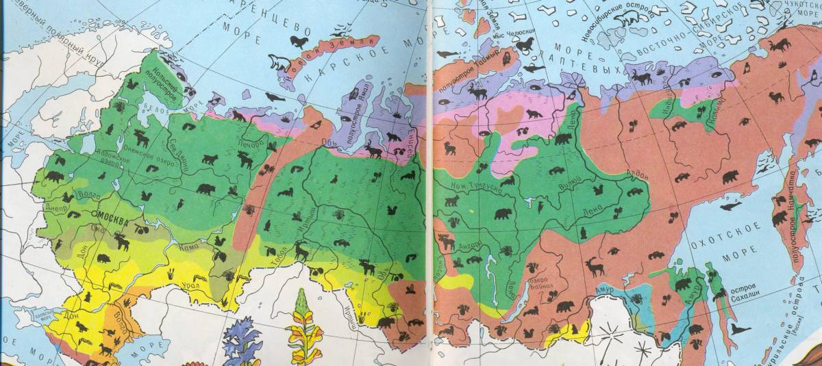 Карта природных зон россии 4 класс #9