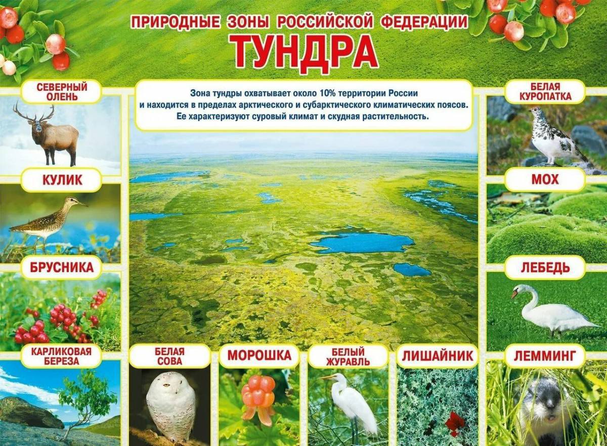Карта природных зон россии 4 класс #27