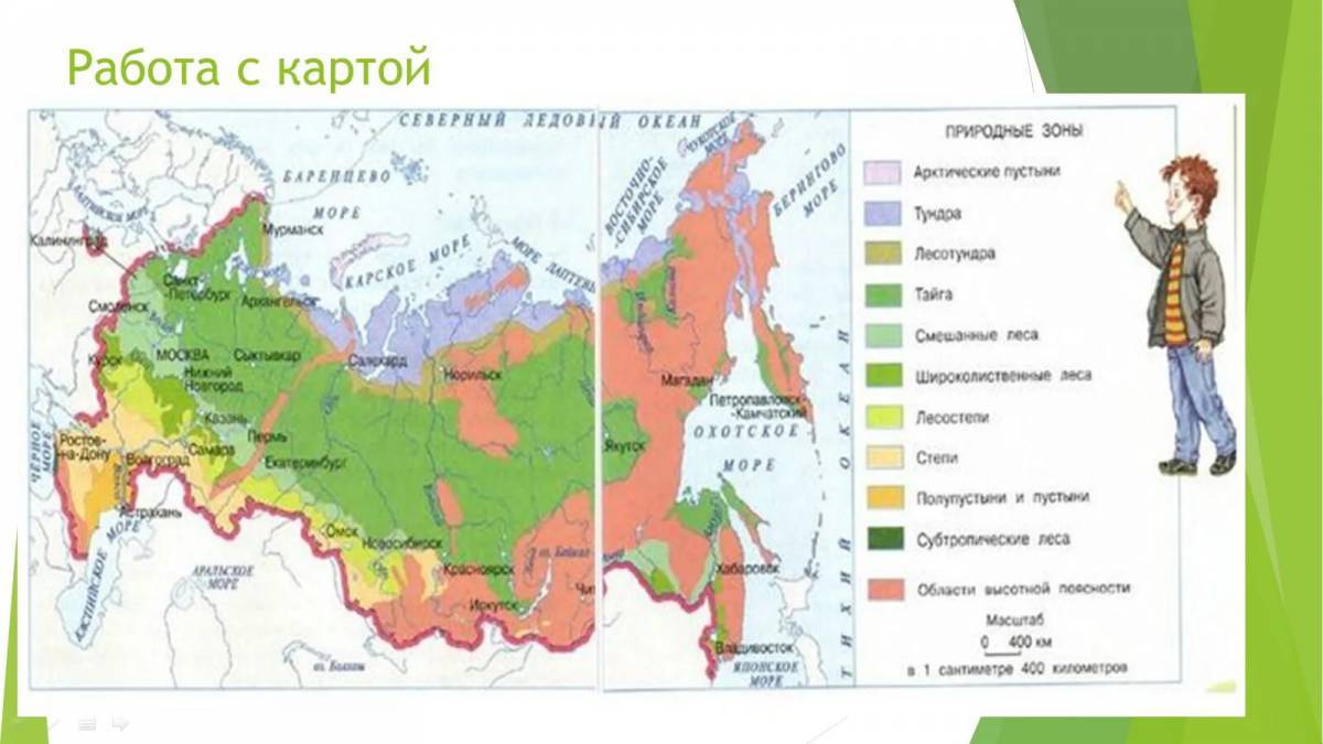 Карта природных зон россии 4 класс #28