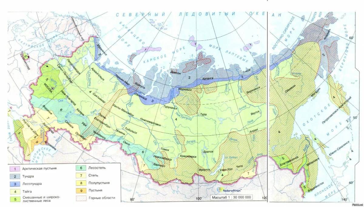 Карта природных зон россии 4 класс окружающий мир #11