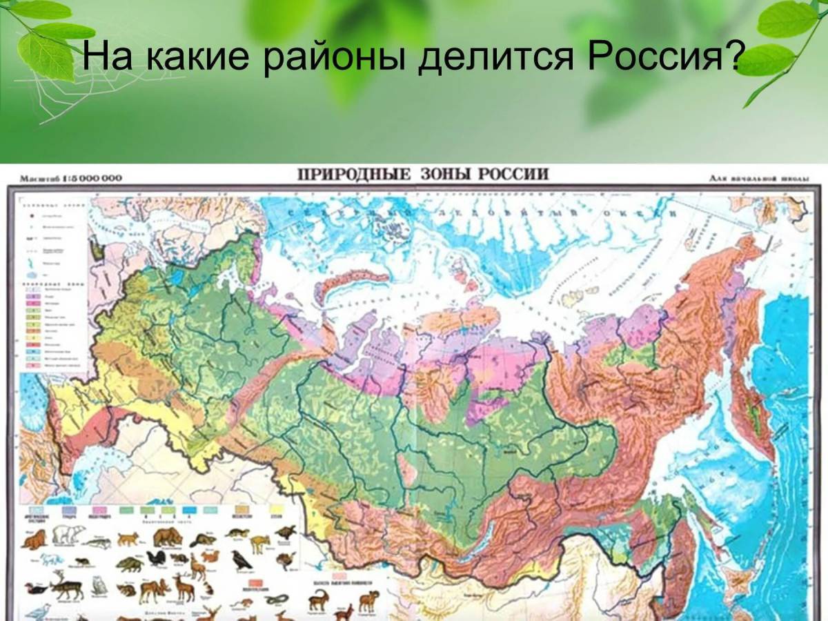 Карта природных зон россии 4 класс окружающий мир #26