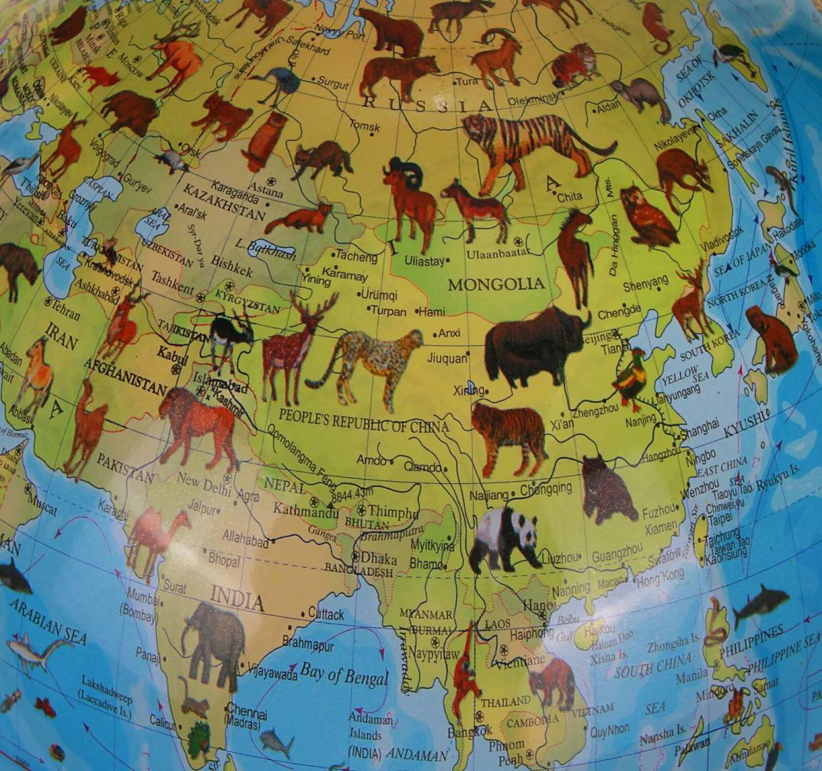 Карта россии с животными #12