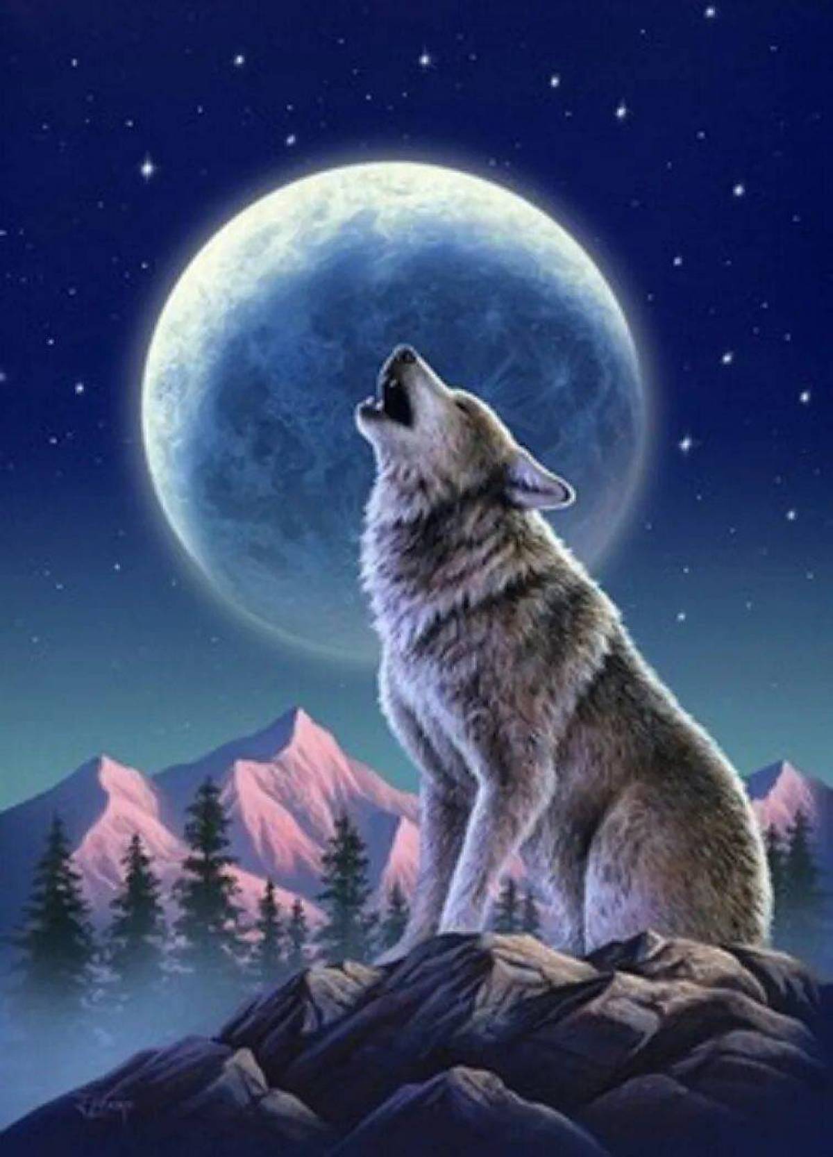Картинка волк #6