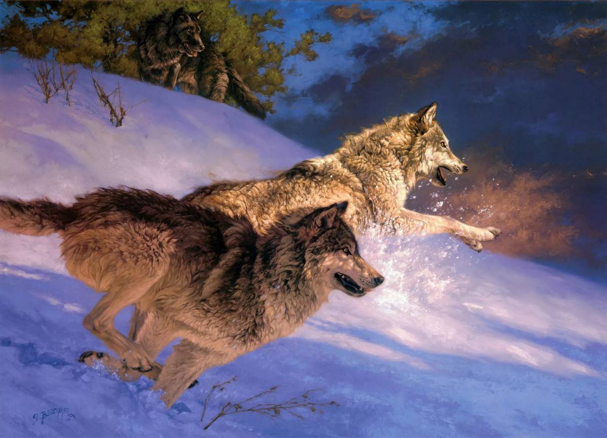 Картинка волк #12