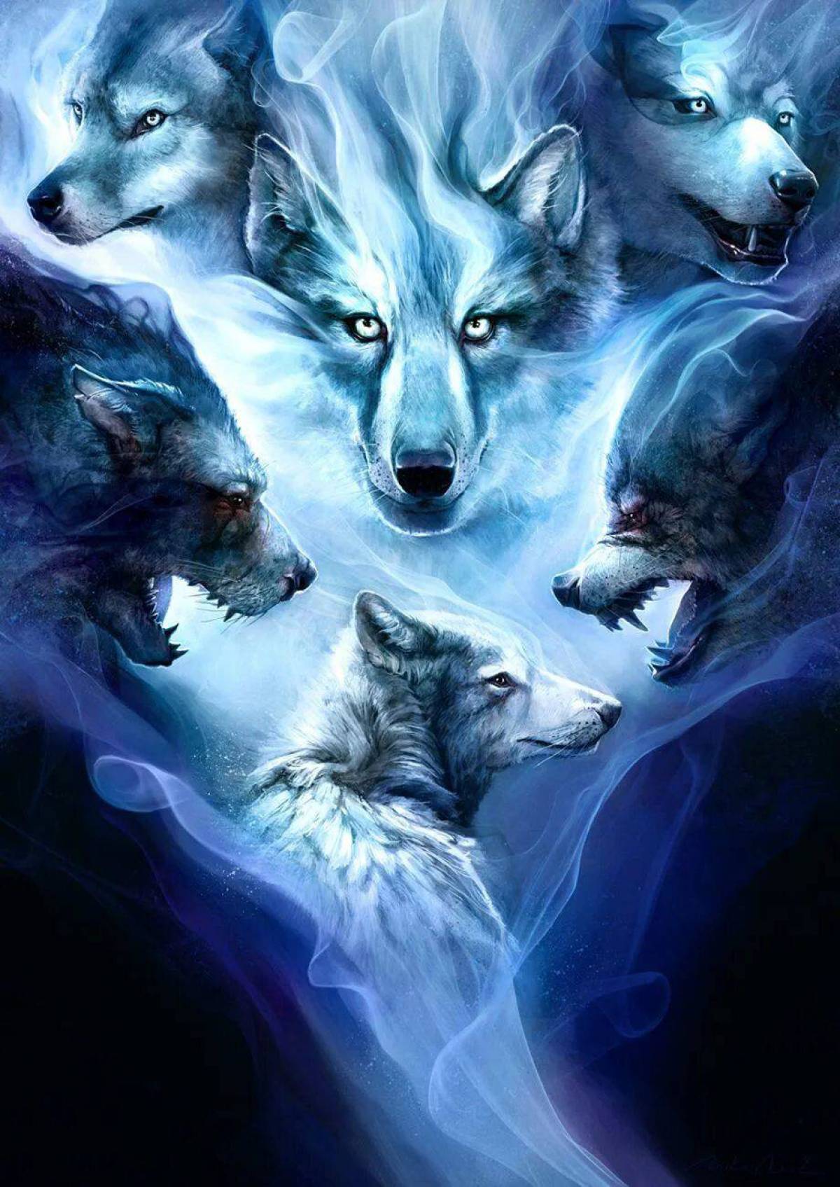 Картинка волк #16