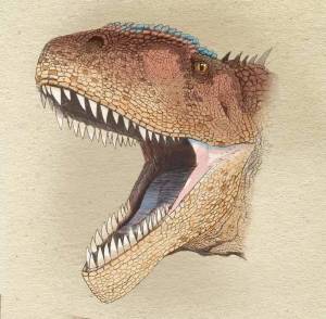 Раскраска кархародонтозавр #20 #336818
