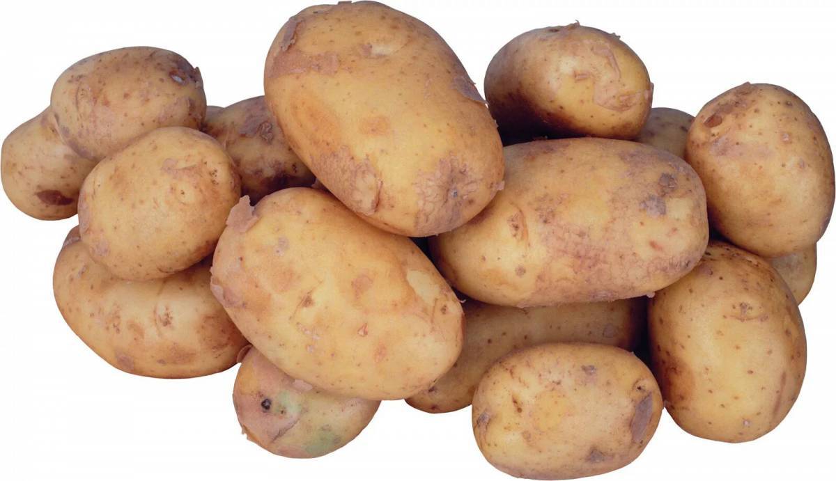 Картошка для детей #15