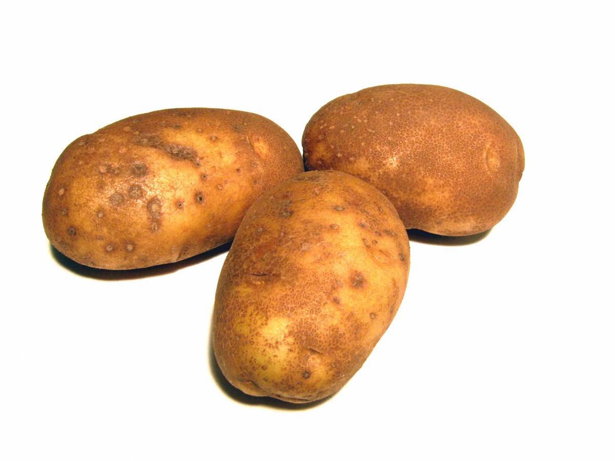 Картошка для детей #18