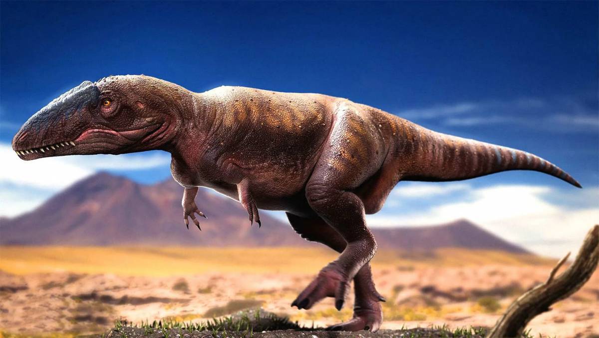 Кархародонтозавр #2
