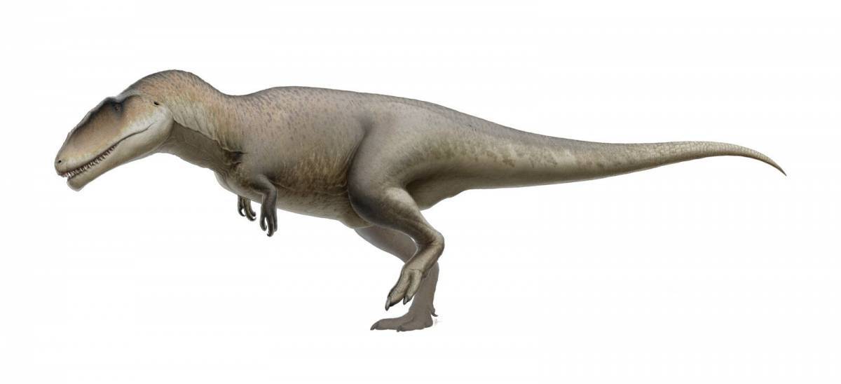 Кархародонтозавр #4