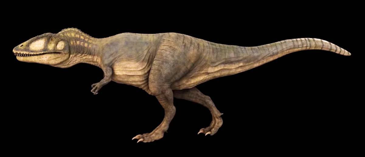 Кархародонтозавр #10