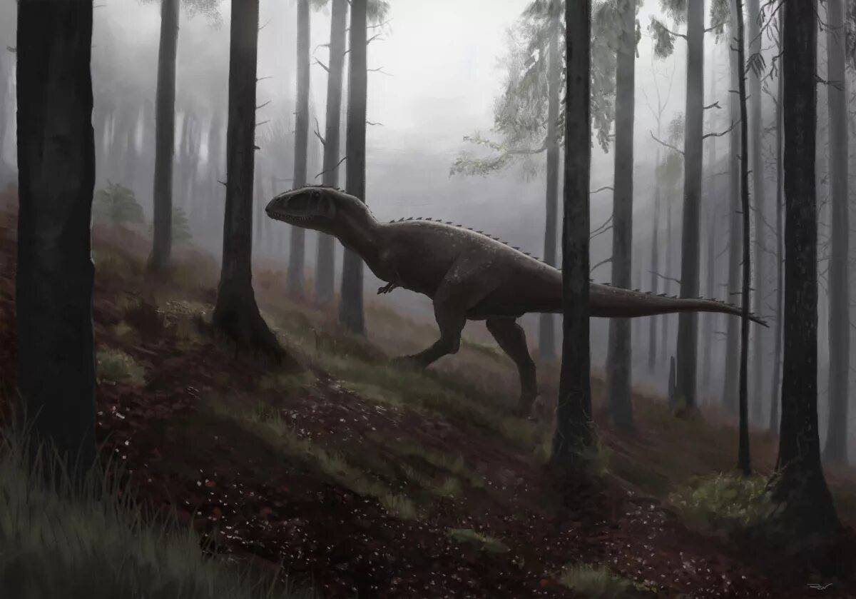 Кархародонтозавр #11