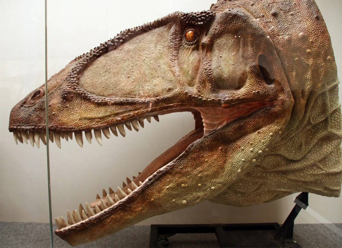 Кархародонтозавр #15