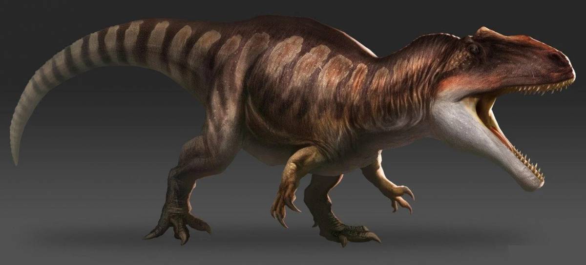 Кархародонтозавр #17