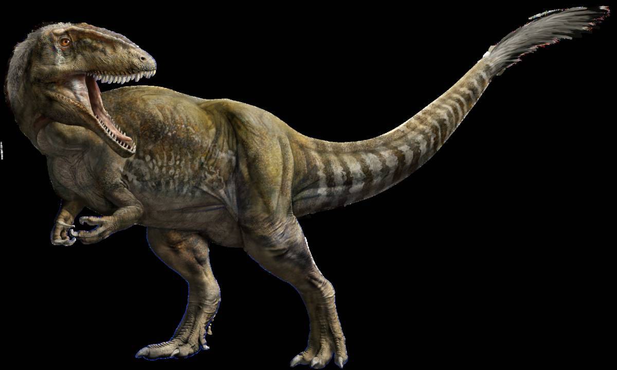 Кархародонтозавр #21