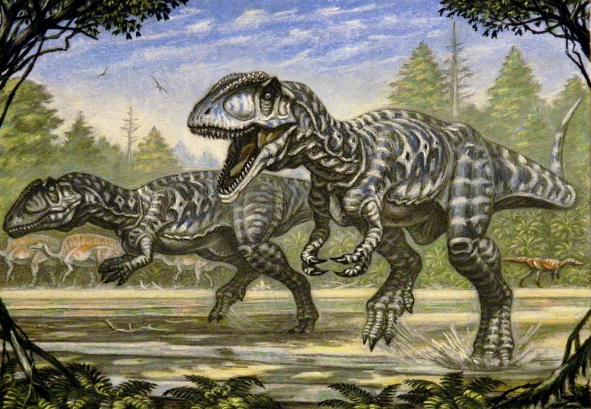 Кархародонтозавр #24