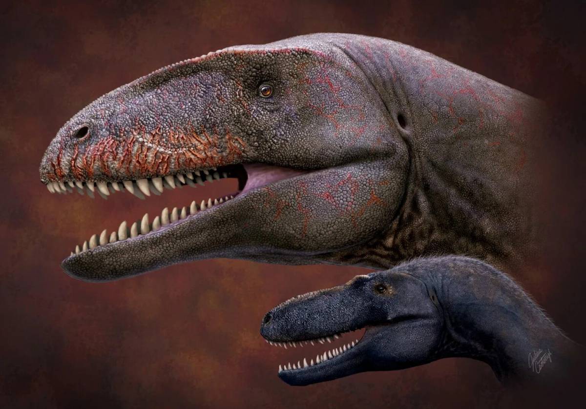 Кархародонтозавр #33