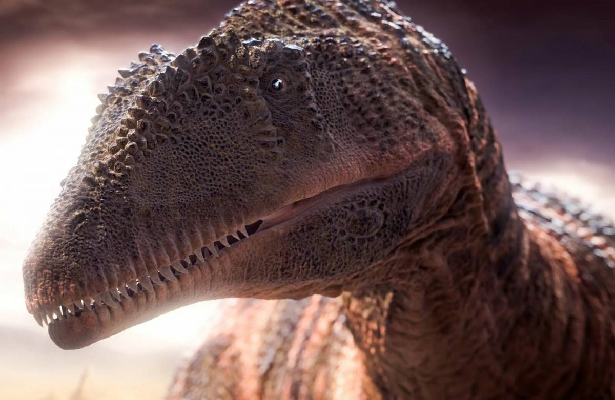 Кархародонтозавр #36