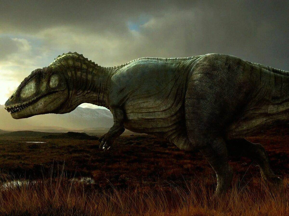 Кархародонтозавр #39