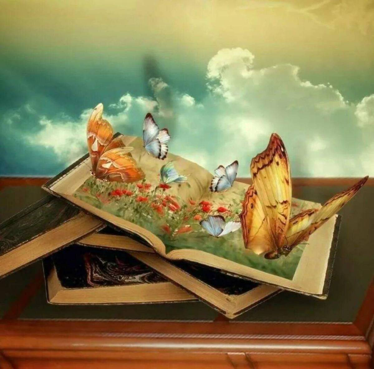 Книга в виде птицы. Иллюстрации к книгам. Сказочная книга. Красивые иллюстрации к книгам. Книга Волшебный мир.