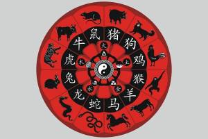Раскраска китайский календарь #5 #340725