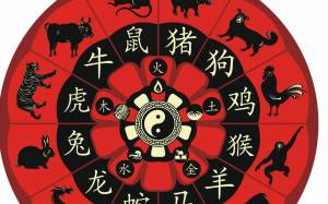 Раскраска китайский календарь #16 #340736