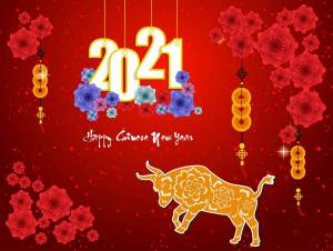 Раскраска китайский новый год #31 #340789