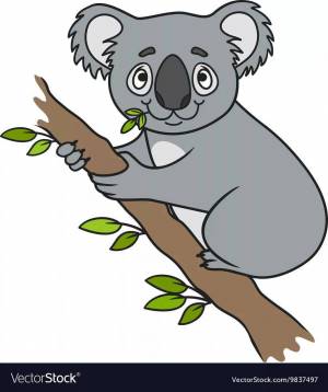 Раскраска коала для детей #8 #342777