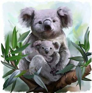 Раскраска коала для детей #20 #342789