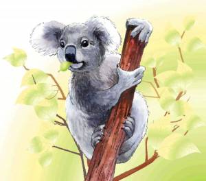 Раскраска коала для детей #22 #342791