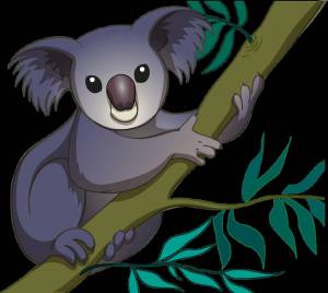 Раскраска коала для детей #24 #342793