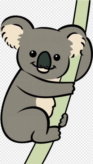 Раскраска коала для детей #28 #342797