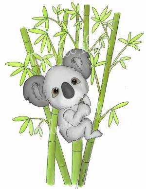 Раскраска коала для детей #32 #342801
