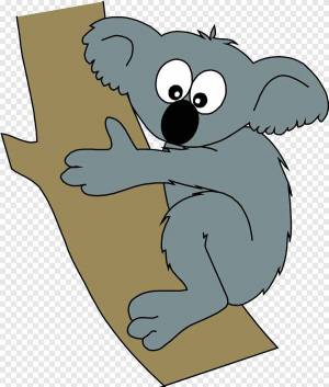 Раскраска коала для детей #33 #342802