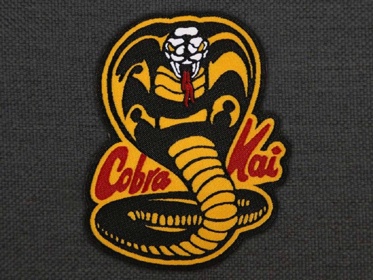 Cobra kai. Кобра Кай. Скат Кобра Кай. Кобра Кай на аву. Кобра Кай / Cobra Kai.