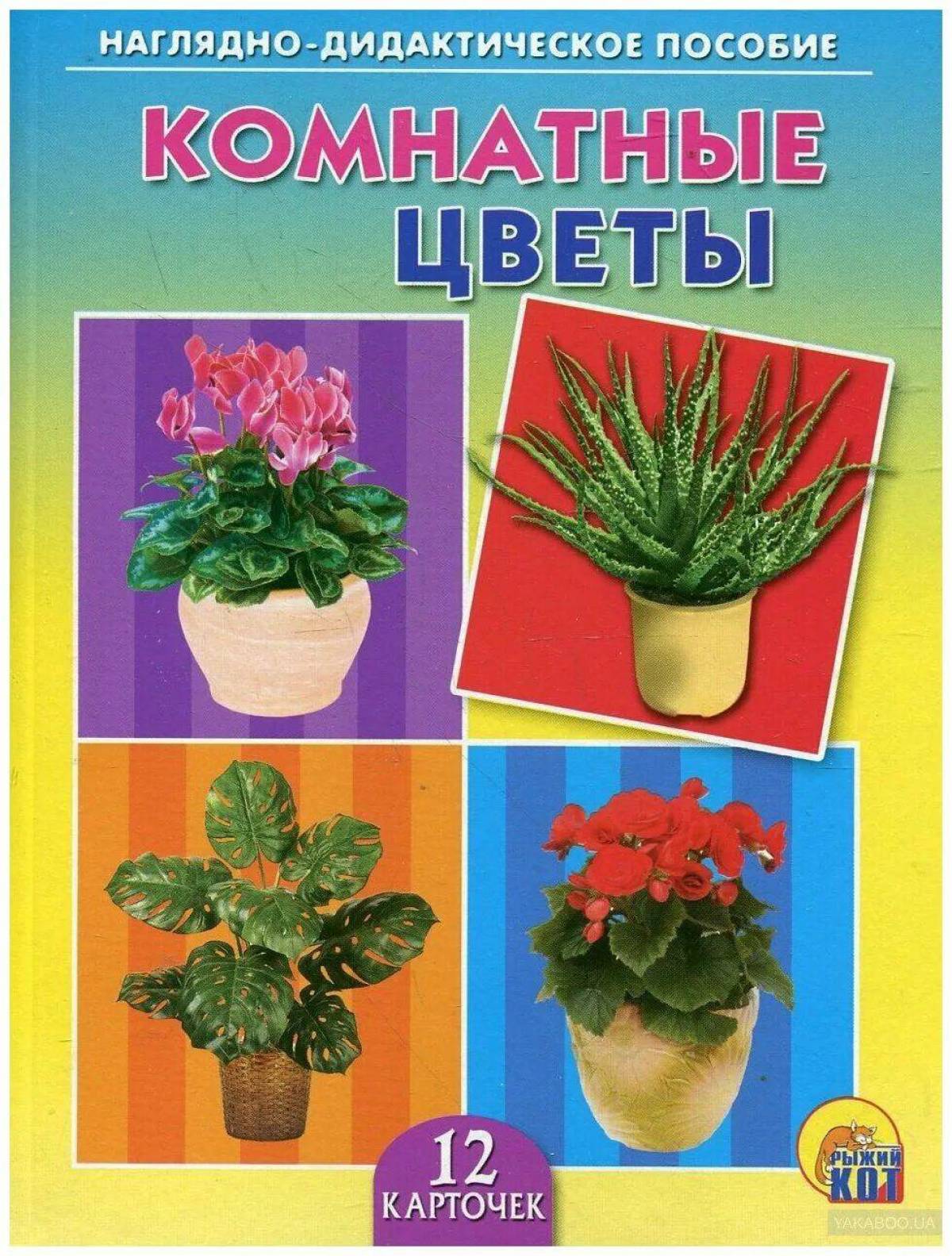 Картинки пособие цветы