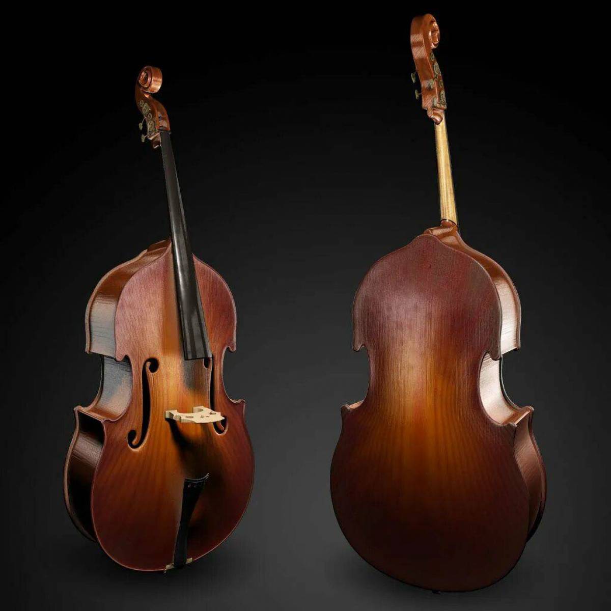 Контрабас струнные смычковые. Микеле тодини контрабас. Контрабас струнные смычковые. Бас инструмент. Контрабас 1/4.
