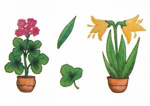 Раскраска комнатные растения для детей 6 7 лет #14 #345076
