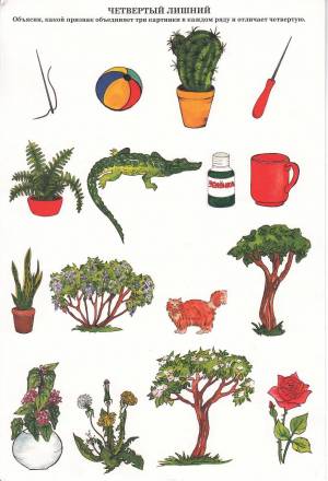 Раскраска комнатные растения для дошкольников #4 #345104