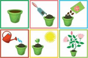 Раскраска комнатные растения для дошкольников #11 #345111