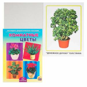 Раскраска комнатные растения для дошкольников #35 #345135