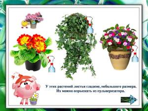 Раскраска комнатные растения для дошкольников #36 #345136