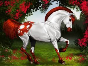 Раскраска коняшка #25 #346144